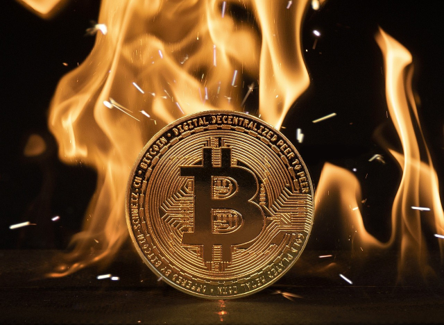 '가상화폐 폭락의 날' 비트코인, 6.3만 달러로···시총 260조원 증발