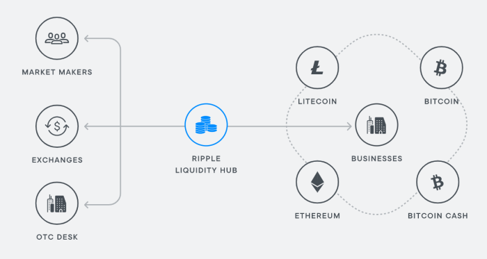 출처=Ripple Labs