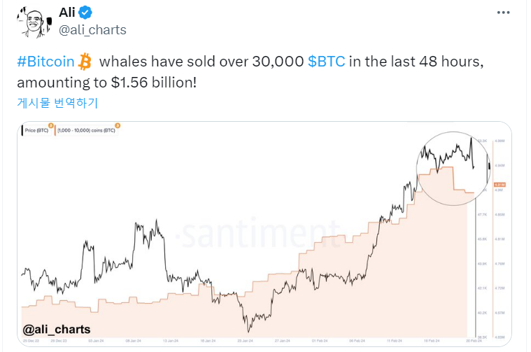 비트코인 고래들, 최근 고점서 BTC 3000개 매도 기사의 사진