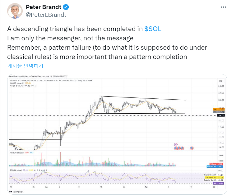 피터 브랜트 "솔라나, 급락 가능성 있다" 기사의 사진
