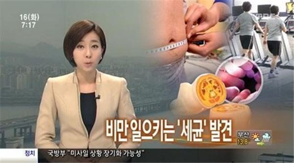 비만 세균 발견. 사진제공=MBC 뉴스 화면 캡처