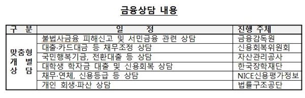 '맞춤형 금융상담' 내용. 표=금융감독원