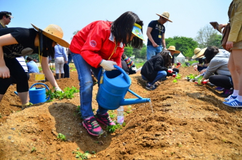 그룹홈 아이들이 '도시농부' 프로젝트에 참여해 텃밭에 모종을 심는 장면. 사진제공=파릇한 절믄이(파절이)