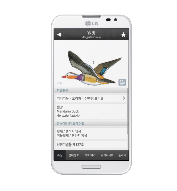 LG상록재단, 조류도감 ‘한국의 새’ 앱으로 출시 기사의 사진