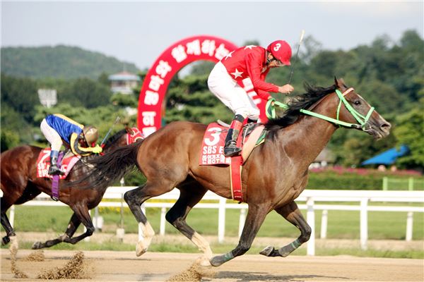 한일전 경마에서 일본의 토센아처(기수 마토바)가 1위로 골인하고 있다.