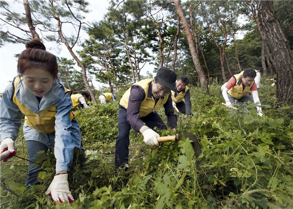 김동수 대림산업 사장(좌측 2번째)과 직원가족들이 서울 남산야외식물원에서 가을 맞이 남산 정화 활동을 벌이고 있다. 사진=대림산업 제공