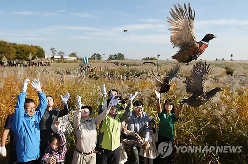 서울대공원 하늘공원서 꿩 방사. 사진=연합뉴스