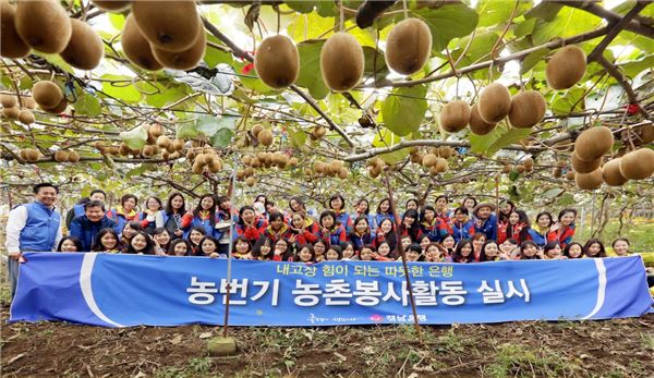 경남은행, ‘농번기 농촌봉사활동’ 실시 기사의 사진