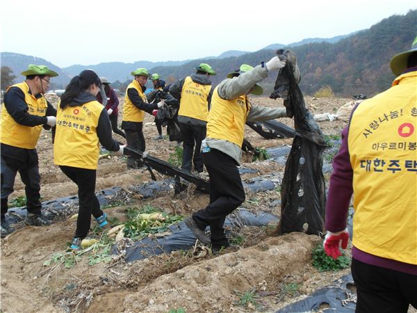 대한주택보증 직원들이 자매결연 마을인 강원 홍천군 수하1리에서 농촌 일손돕기 봉사활동을 펼치고 있다. 사진=대한주택보증 제공
