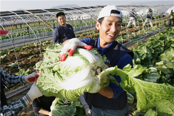 한국마사회 앤젤스 봉사단원들이 농촌 일손을 돕고 있다. 