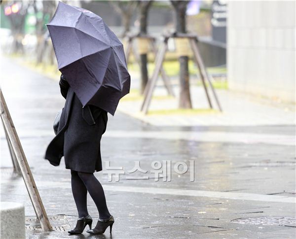 25일 오전 서울 여의도 버스 환승센터 앞 신호등에서 한 시민이 우산으로 강풍을 막고 있다. 김동민 기자 life@newsway.co.kr