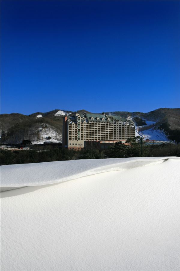 양지파인스키밸리, 심야-백야스키권이 6만9000원 기사의 사진