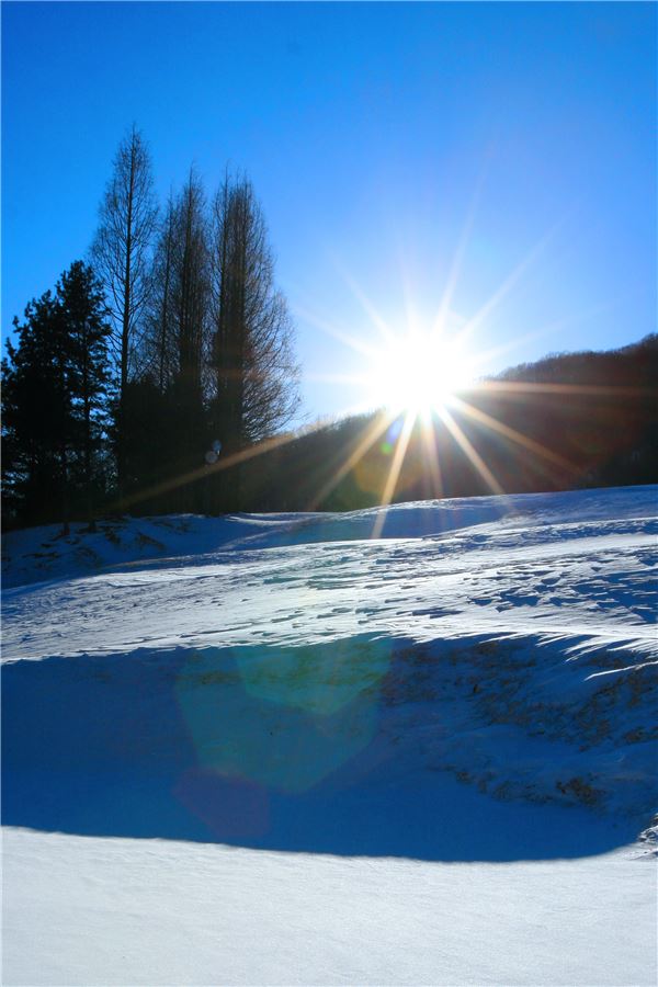양지파인스키밸리, 심야-백야스키권이 6만9000원 기사의 사진