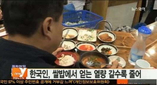 밥에서 얻는 열량 비중. (사진 = 뉴스와이 방송화면 캡처)