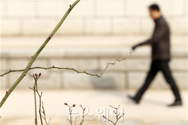 서울의 최고기온이 9℃까지 올라는 등 포근한 날씨가 이어진 가운데 17일 오전 시민들이 서울 청계천 일대에서 산책을 하고 있다. 이선우 기자 Sunday@newsway.co.kr
