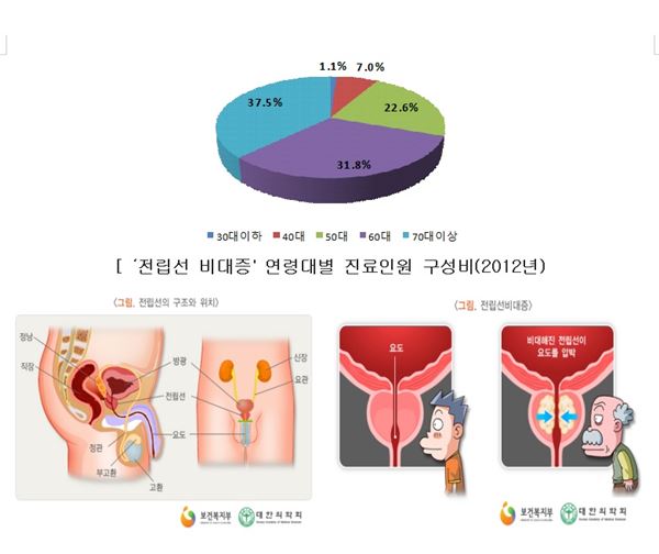 그래프, 그림= 국민건강보험공단