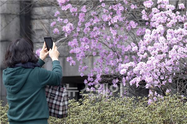 학생이 이화여자대학교 교내의 핀 꽃을 휴대폰으로 촬영하고 있다. 김동민 기자 life@newsway.co.kr