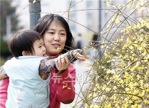이화여자대학교 캠퍼스를 찾은 시민이 아이에게 개나리 꽃에 대해서 설명을 하고 있다. 김동민 기자 life@newsway.co.kr