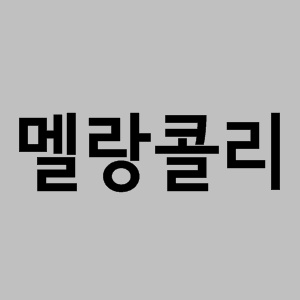 멜랑꼴리 뜻 / 사진=온라인 커뮤니티