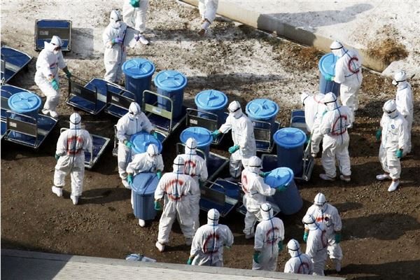 지난 1월 일본 미야자키현에서 발생한 조류독감으로 닭 41만마리 살처분하는 일본 당국자들 모습.