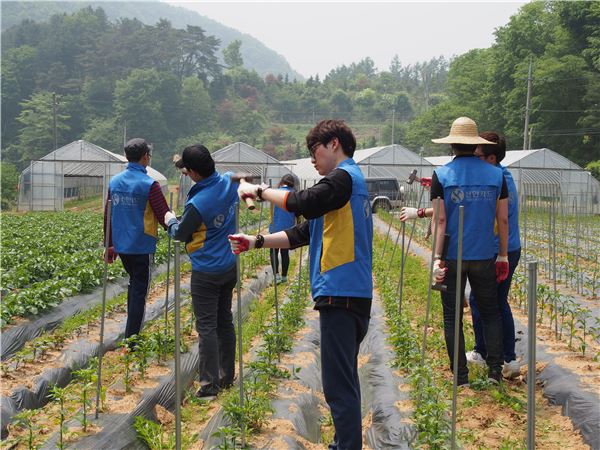 신한카드 '아름인 봉사단'이 강원도 횡성군 삼배리 마을을 찾아 봉사활동을 펼치고 있다.