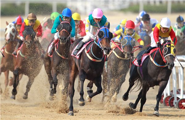 스포츠조선배 대상경주 승자는 누구 기사의 사진