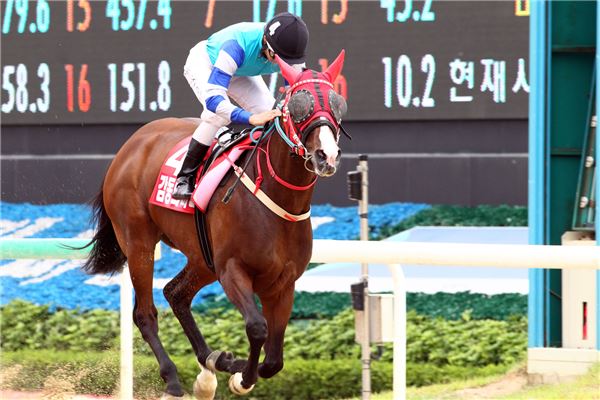 우승을 향해 질주하는 '감동의 바다'