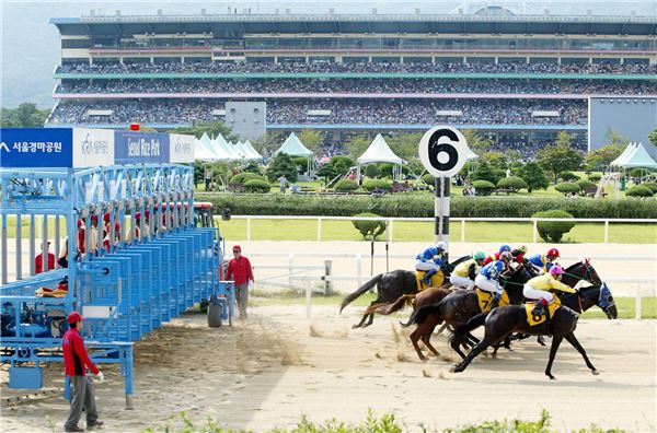 ‘담양의질주’ 16주 공백 극복하고 3연승 달성 등 기사의 사진