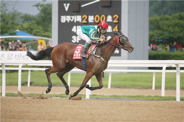 스포츠서울배 우승자 금빛환희와 신이치 기수