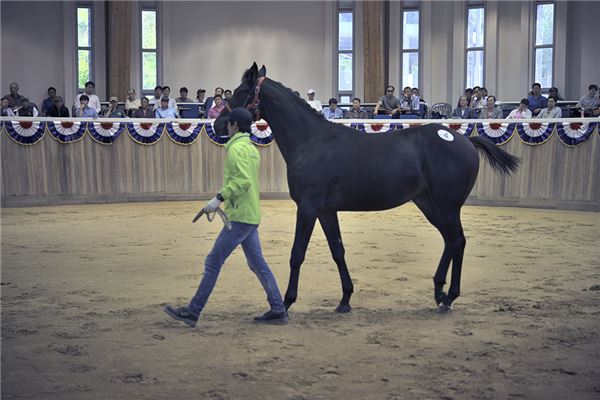 마사회, 대상경주에서 1위~7위 맞히면 상금 2000만원 쏜다 등 기사의 사진