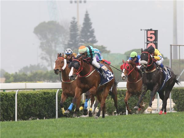 제주특별자치도지사배(GIII) 대상경주,  최강자는? 기사의 사진