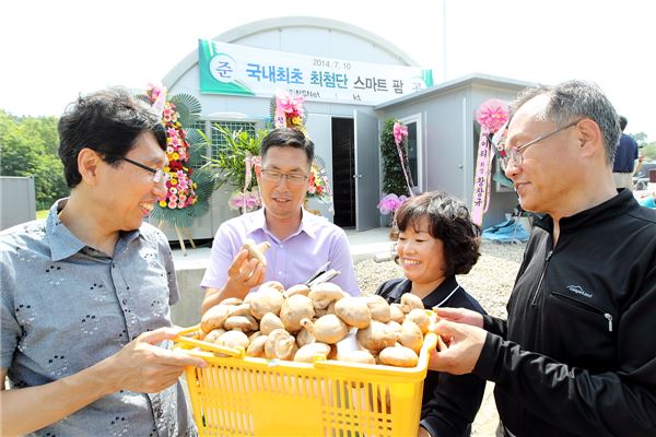 KT는 강원도 강릉시 샛돌지구(전원 마을)에 ICT 기술을 접목한 첨단 농업 재배시설인 ‘스마트 식물공장 Total솔루션’을 구축했다고 11일 밝혔다. 사진=KT 제공