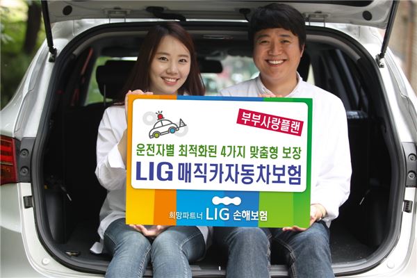 사진=LIG손해보험 제공