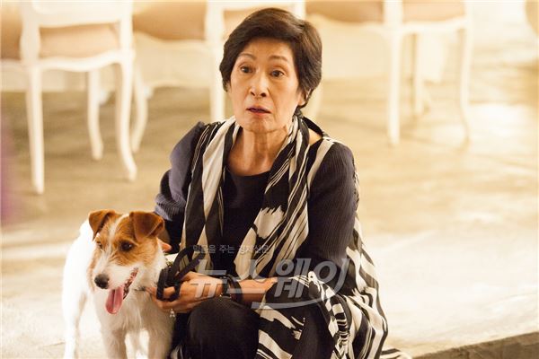  ‘개훔방’, 21세기 탈무드의 가르침 같은 ‘우화’ 기사의 사진