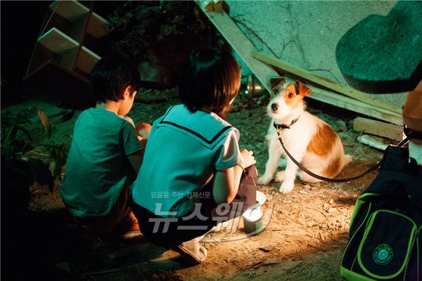  ‘개훔방’, 21세기 탈무드의 가르침 같은 ‘우화’ 기사의 사진
