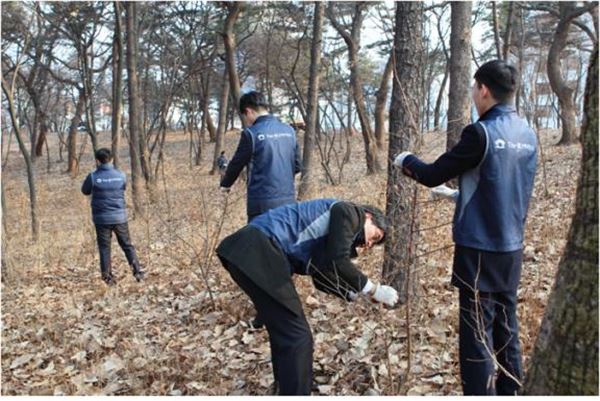 더케이손해보험 신입직원들이 지난 달 30일 문화재지킴이 활동으로 종묘를 찾아 기생넝쿨을 제거하고 있다. 사진=더케이손보 제공