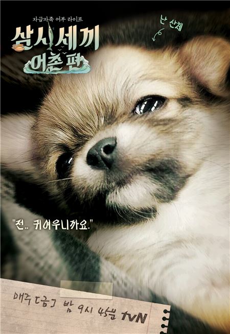 강아지 산체 / 사진 = tvN '삼시세끼-어촌편'