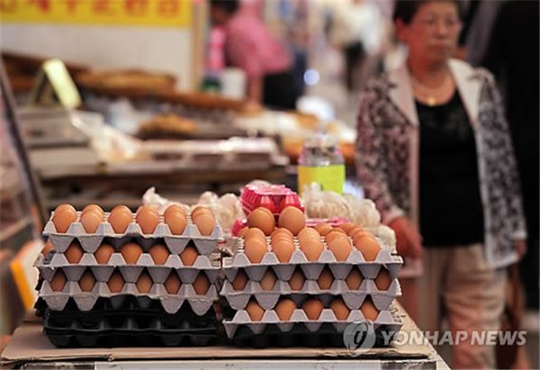 달걀이 학생에게 좋은 이유. 사진=연합뉴스 제공.
