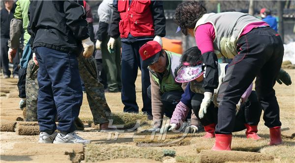 서울광장 잔디 식재. 사진=김동민 기자 life@newsway.co.kr