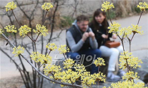 봄 날씨. 사진=김동민 기자 life@newsway.co.kr