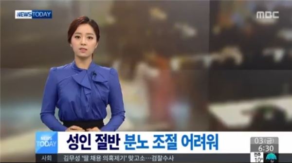 성인 절반 분노조절 장애. 사진=mbc 뉴스 방송캡처
