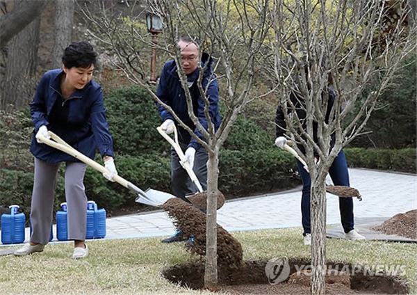 박근혜 대통령은 5일 식목일을 기념해 청와대 경내 녹지원에 무궁화를 심었다. 사진=연합뉴스 제공