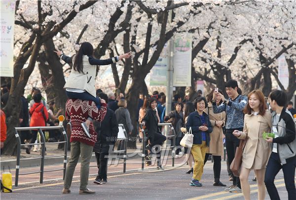 여의도 벚꽃축제를 즐기는 시민. 사진=김동민 기자 life@