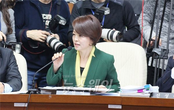 진선미 새정치민주연합 의원. 사진=진선미 의원실 제공