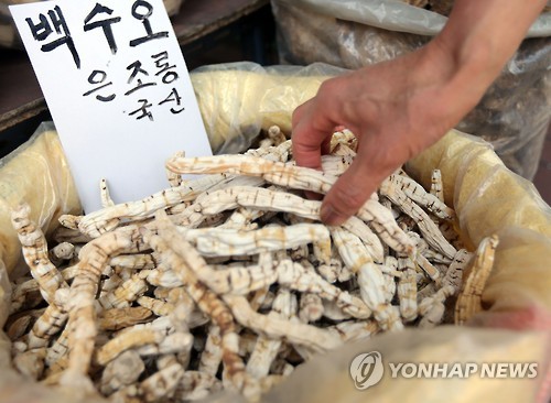 지난 26일 서울시내 한 재래시장에서 상인이 백수오를 정리하고 있다. 사진=연합뉴스 제공