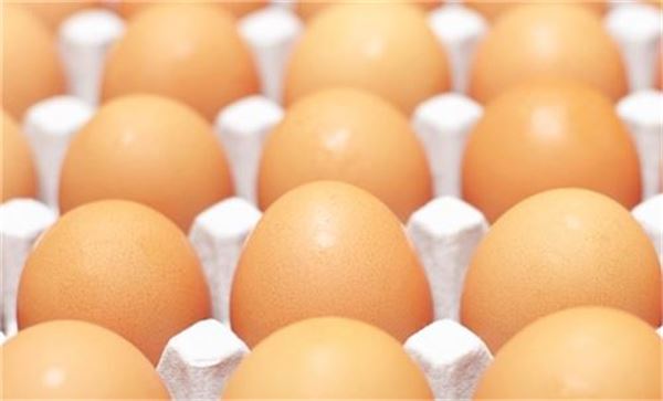 좋은 달걀 고르는 법 사진=인터넷 커뮤니티 제공