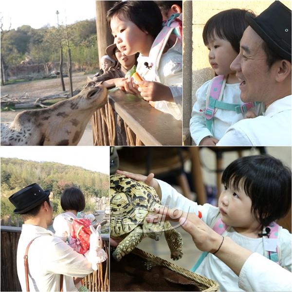 ‘슈퍼맨이 돌아왔다’ 엄지온이 기린과 배추와 당근을 놓고 깜찍한 밀당을 펼쳤다 / 사진제공= KBS 2TV '해피선데이 -슈퍼맨이 돌아왔다'