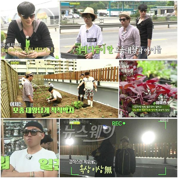 KBS2 '인간의 조건-도시농부' 멤버들이 옥상에 모종까지 심으면서 옥상 텃밭에 대한 희망을 한 발 더 내디디며 훈훈함을 선사했다 / 사진제공= '인가의 조건-도시농부' 영상캡처