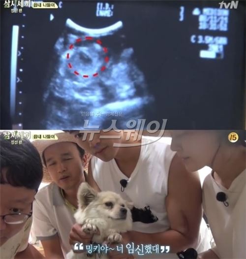  ‘임신 의혹’ 밍키, 병원 진단 결과 ‘임신 확인’ 기사의 사진