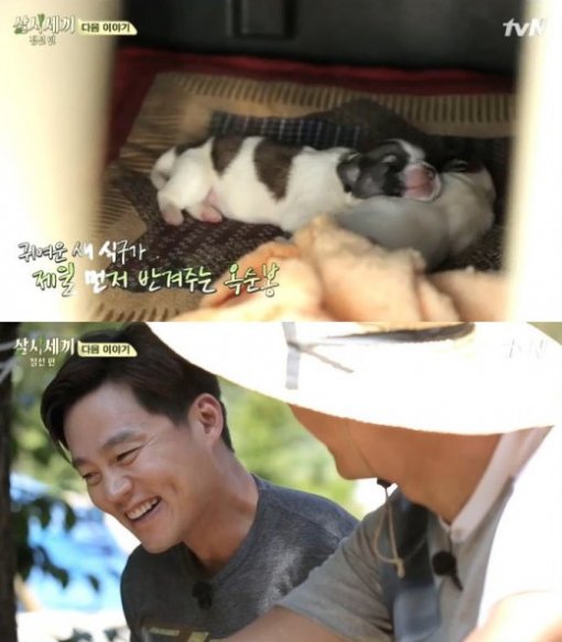 삼시세끼 밍키 새끼 낳자 옥택연-이서진 흐믓. 사진=tvN '삼시세끼'